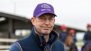 <p>Gavin Cromwell can get off the mark early in the afternoon by taking the opener, the Fairyhouse For Fundraisers Beginners’ Chase, with Springt De La Mare. File Pic: Morgan Treacy/Inpho</p>