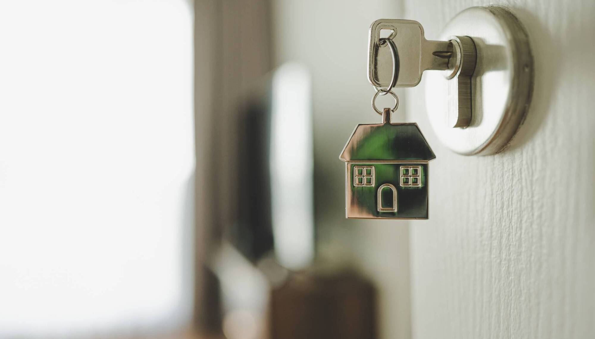 Central Bank mortgage lending rules can lead to rising rents, ECB says 