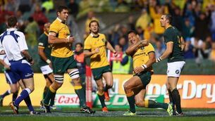 Wallabies notch slim win over Springboks
