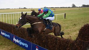 <p>SOARING OVER: Appreciate It and Sean O'Keeffe win for trainer Willie Mullins. Pic: Healy Racing</p>