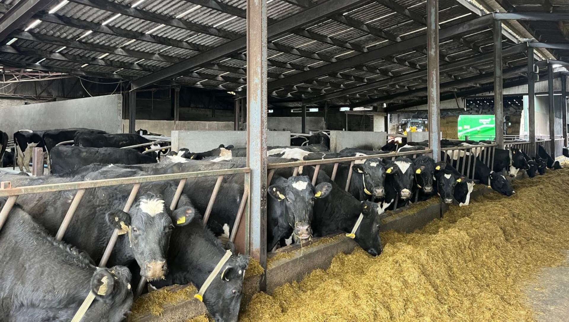 103-acre Carlow dairy farm for auction, guiding at €17,500/ac