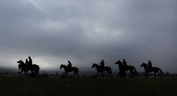 Today’s Cheltenham tips
