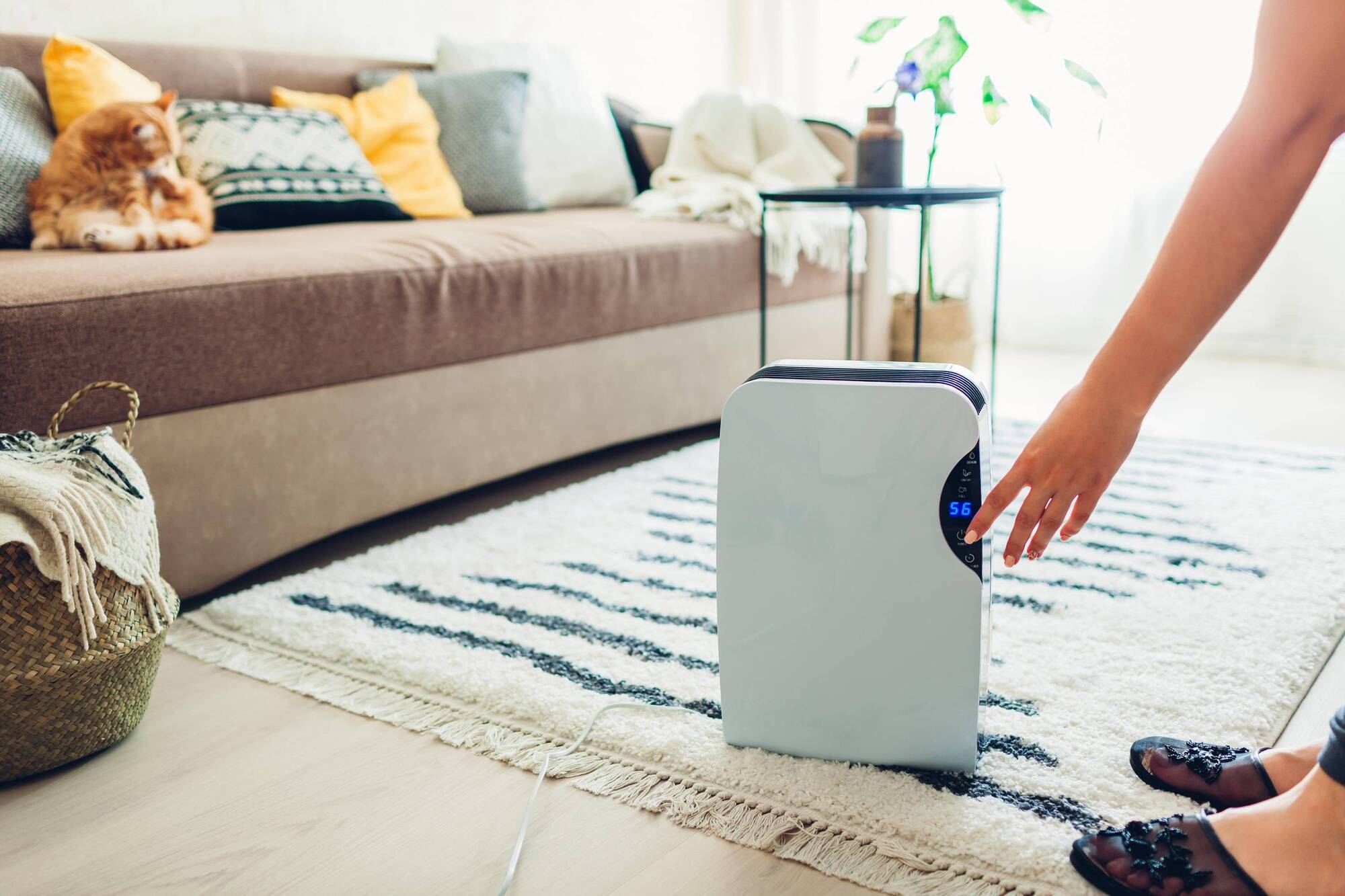 6 of the best ways to dry laundry without using a tumble dryer