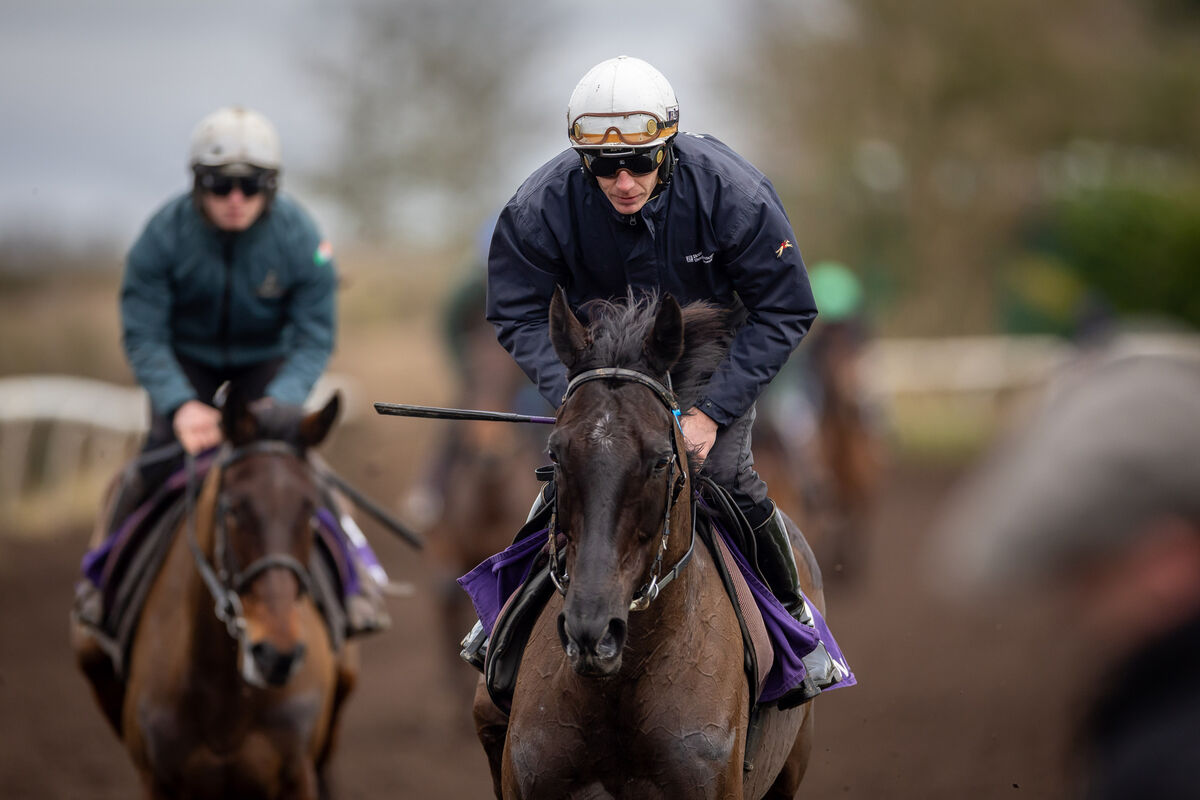 Paul Townend on Galopin Des Champs.