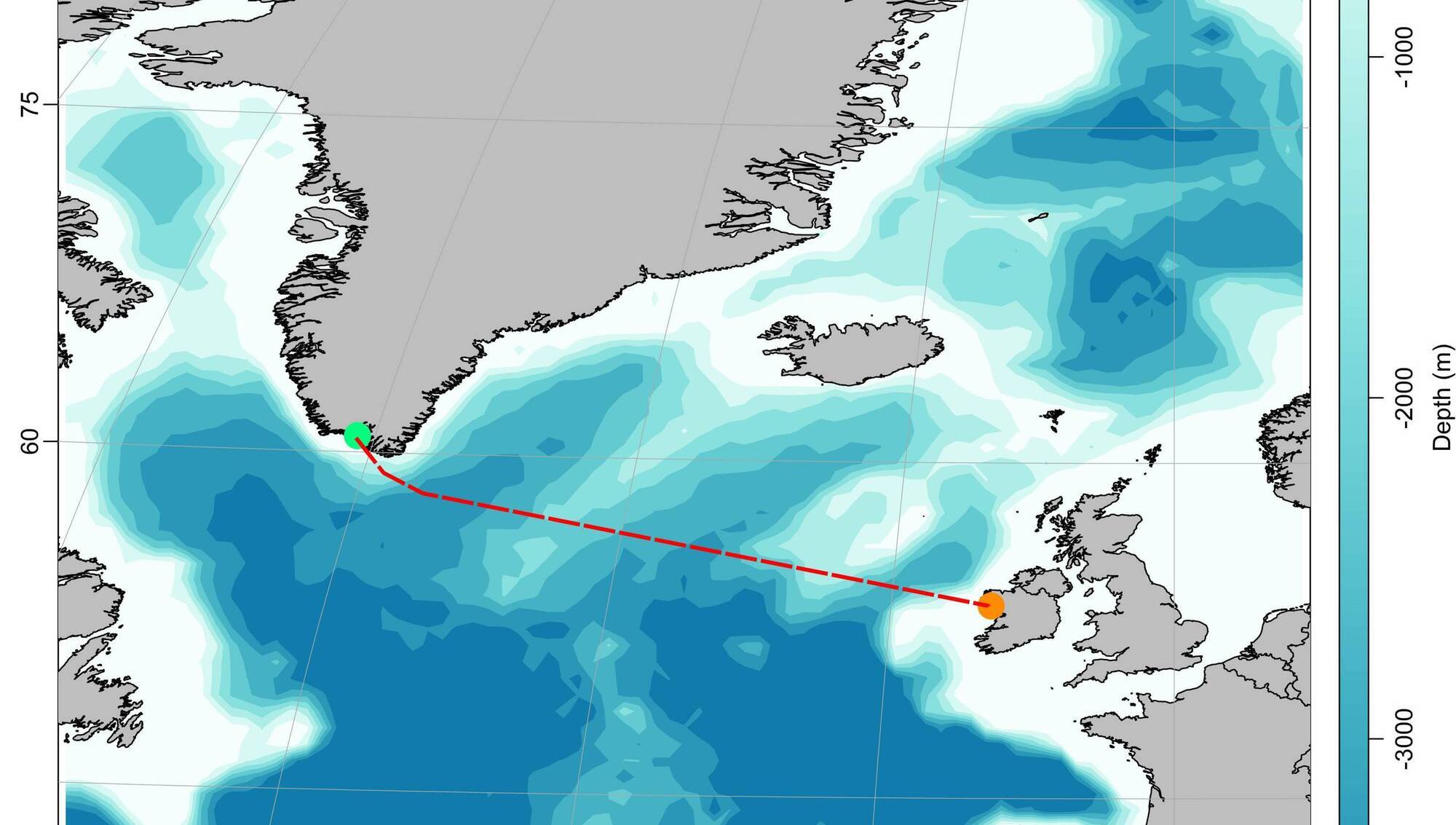 Salmon's 2,300km epic journey from Greenland back to Co Mayo