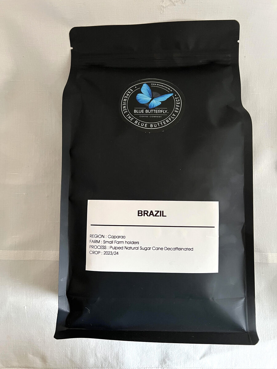 Blue Butterfly. Picture: Dan Linehan