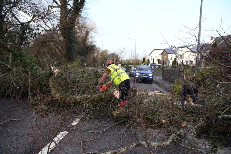 Tree Surgeon Kevin Buckley and local resident Ger Maher clear a fallen tree from the N72 main Killarney to Killorglin Ring of Kerry road after Storm Éowyn swept across the country on Friday.