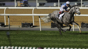 Prince Bishop wins Dubai World Cup