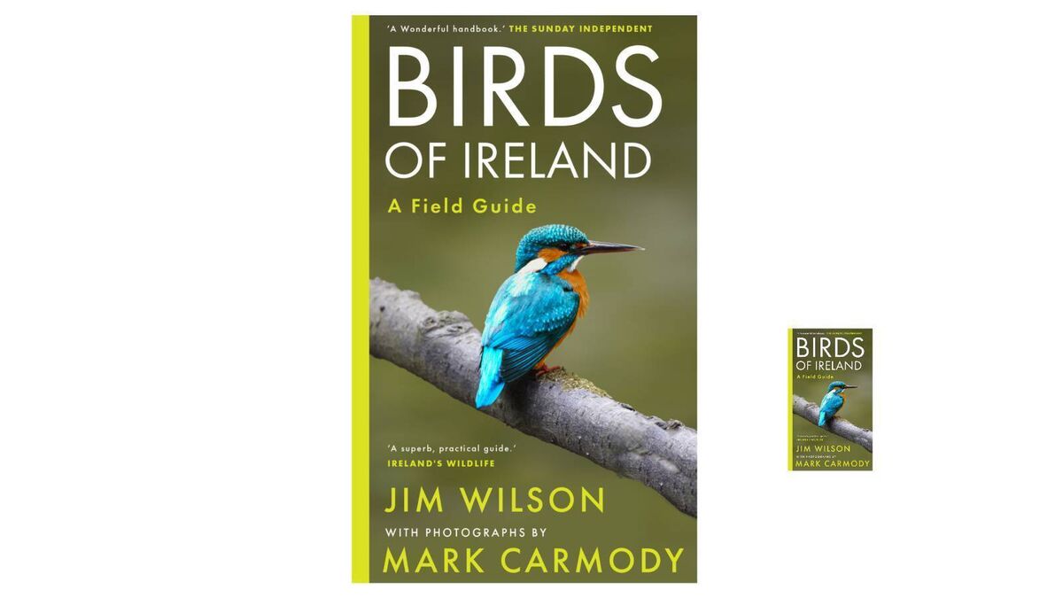 Birds of Ireland: A field guide By Jim Wilson, with photographs by Mark Carmody.