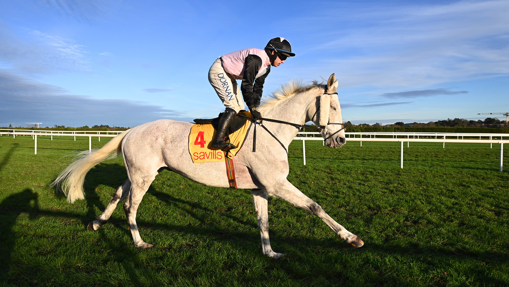 Ruby Walsh: Cheltenham's Festival Trials Day is a massive marketing mistake