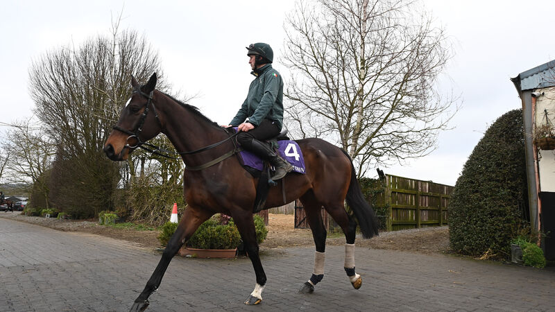 Fact To File in 'great form' ahead of Galopin Des Champs rematch 