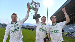 Brave Ballyhale claim thrilling Leinster title