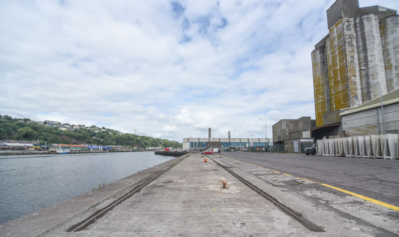 Cork City’s climate action plan includes significant funding aimed at achieving the goal of net zero, such as a €190m investment in the Cork docklands project to create a new liveable and walkable urban centre. Picture: Cian O'Regan