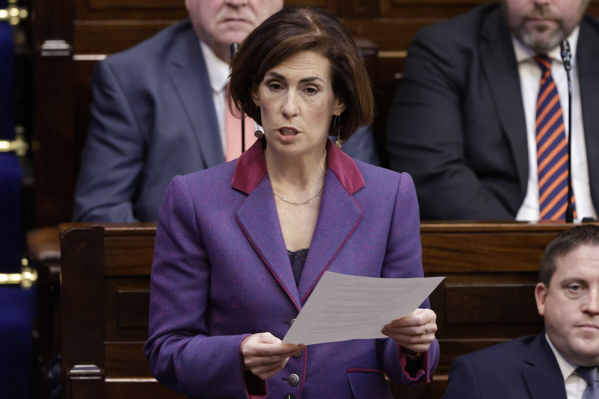 Hildegarde Naughton has been appointed junior minister with responsibility for disability.