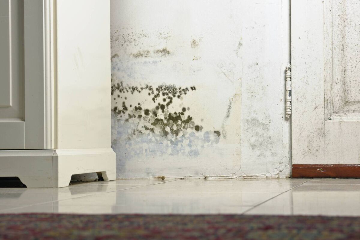 Unfortunately, and contrary to popular belief, or perhaps wishful thinking, maintenance has to be factored in. Unfortunately, and contrary to popular belief, or perhaps wishful thinking, maintenance has to be factored in.