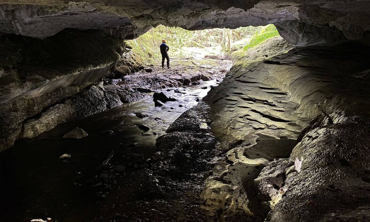 White Fathers Cave, which lies beneath counties Cavan and Fermanagh in Ireland, where spiders are being zombified by the Gibellula attenboroughii fungus. Picture: Tom Fogg