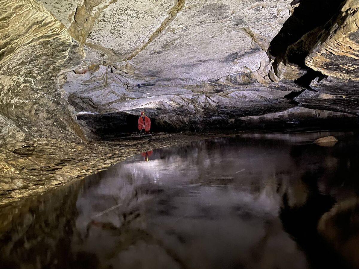 White Fathers Cave in Cavan and Fermanagh in Ireland, where spiders are being zombified by the Gibellula attenboroughii fungus. Picture: Tom Fogg