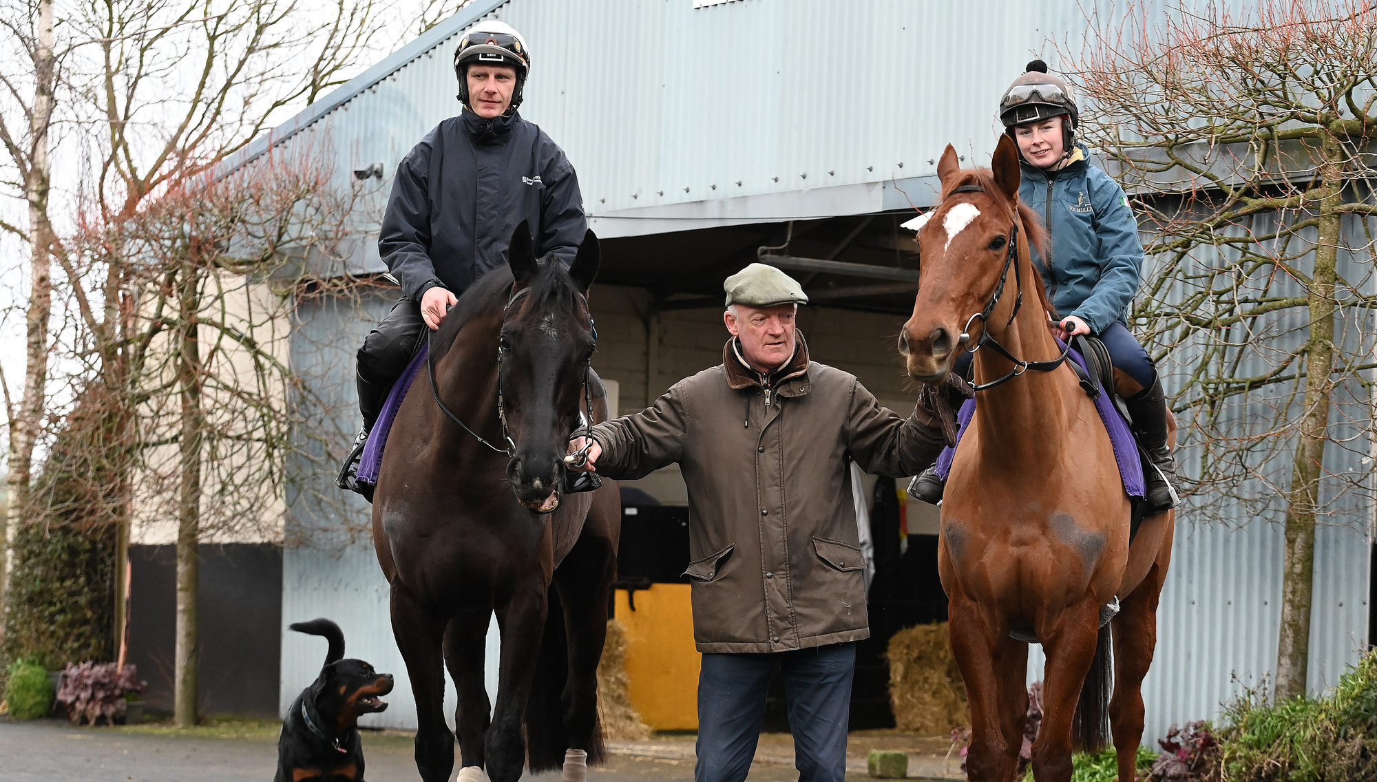 Ruby Walsh: Talent runs deep on Irish racing's first all-ticket showpiece