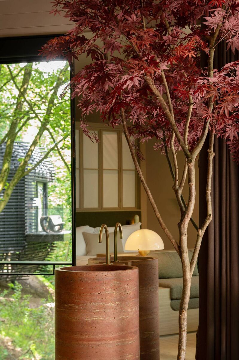 Picture: Darragh Kane Picture: Darragh Kane