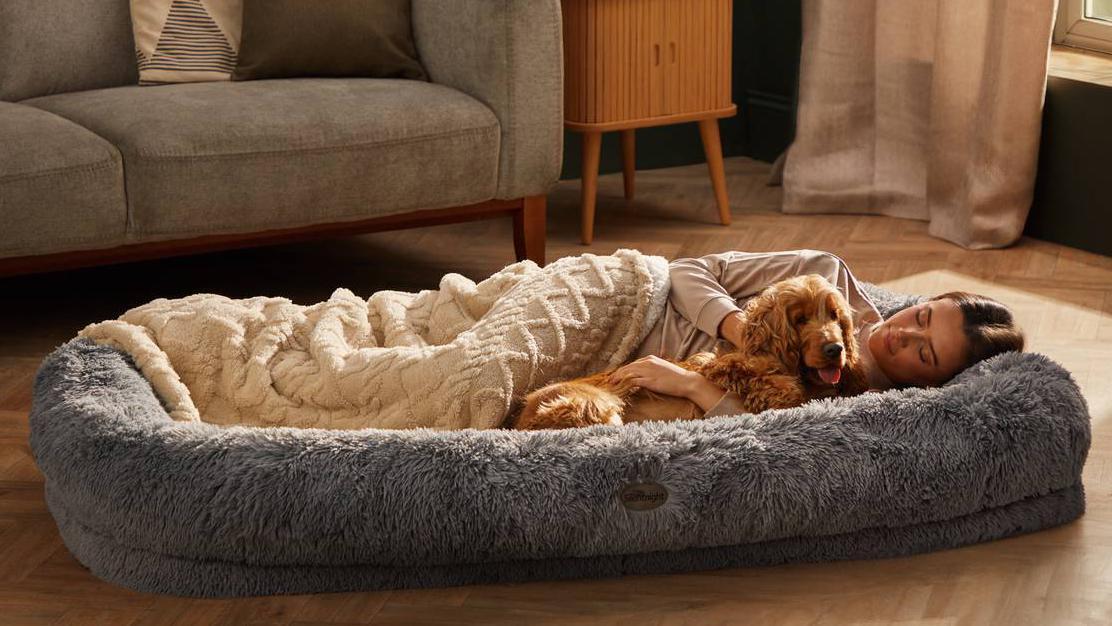 I tried one of the human-sized dog beds from Lidl — here's what happened