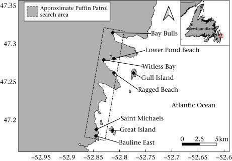 Map of Puffin Patrol search area in Newfoundland, Canada, including all relevant locations of research activities (Bay Bulls, Lower Pond Beach, Ragged Beach, Saint Michaels) and the two largest Atlantic puffin breeding colonies (Gull Island, Great Island)