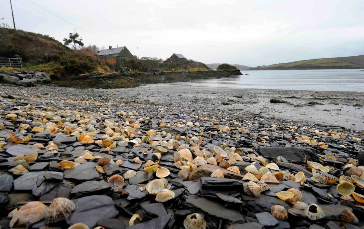 Beach nearby at Reen South. Pic Denis Scannell Beach nearby at Reen South. Pic Denis Scannell