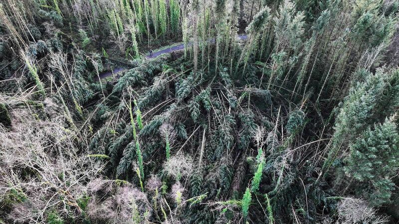 Tech to help assess scale of storm damage