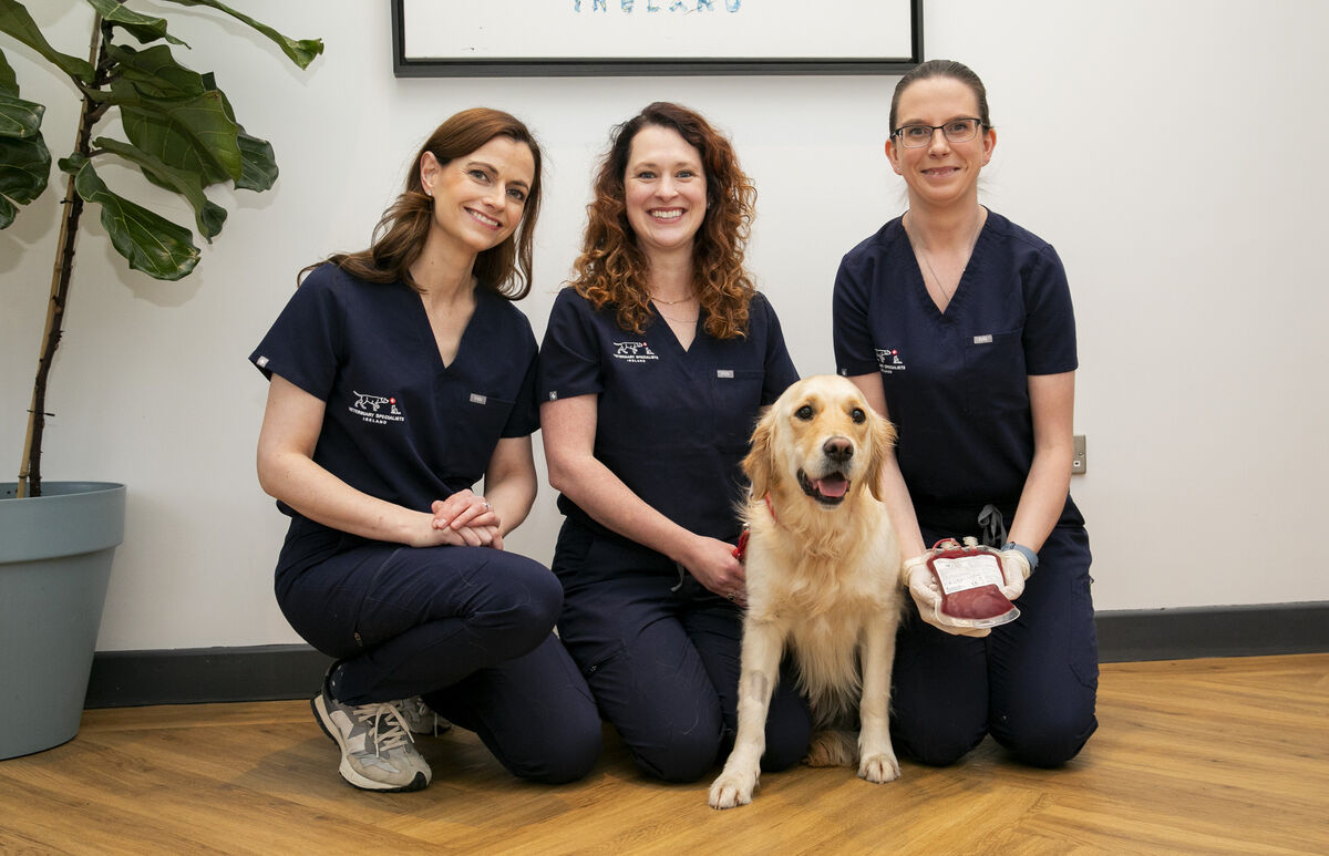 Laura Cuddy, Erin Lagarde, and head nurse Olivia Flanagan with donor dog Faye. Picture: Gareth Chaney Laura Cuddy, Erin Lagarde, and head nurse Olivia Flanagan with donor dog Faye. Picture: Gareth Chaney