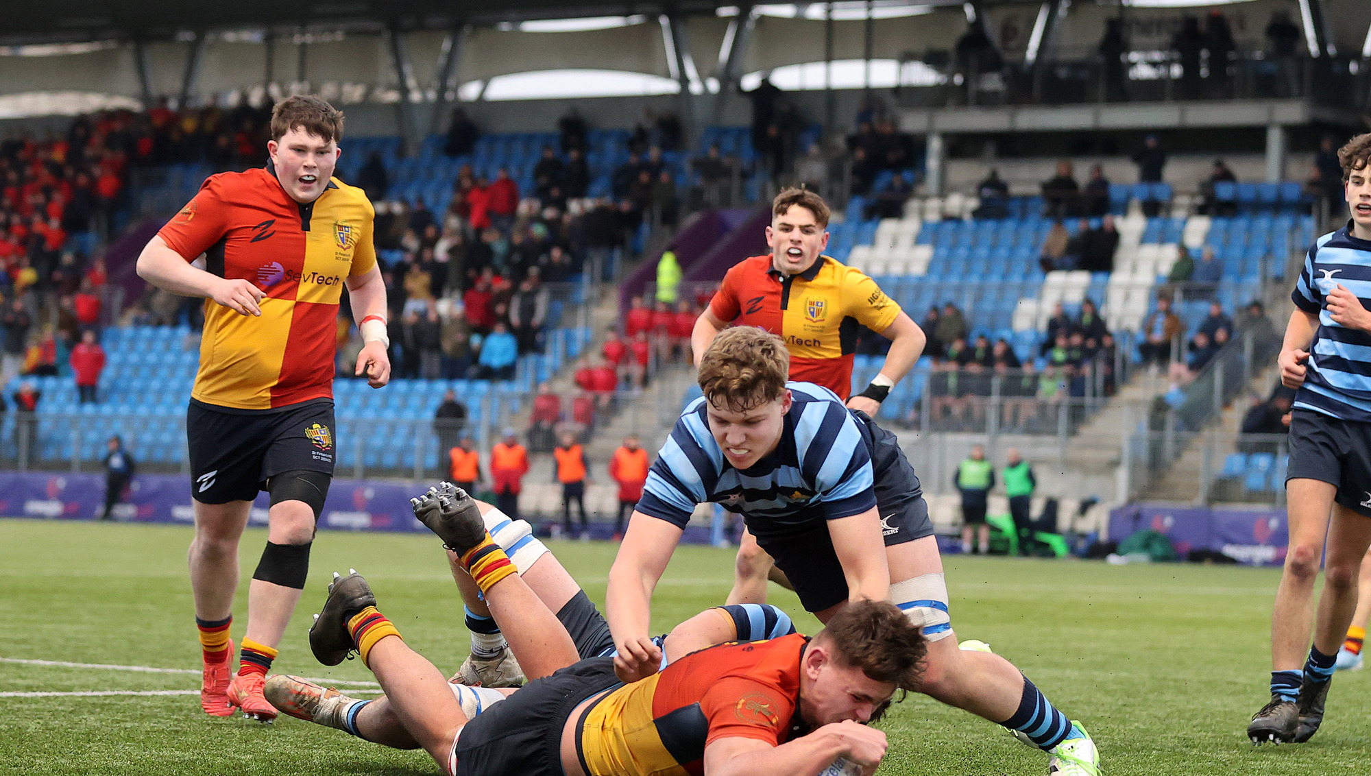 Bolger late try helps St Fintan's High School in dramatic win over Castleknock College