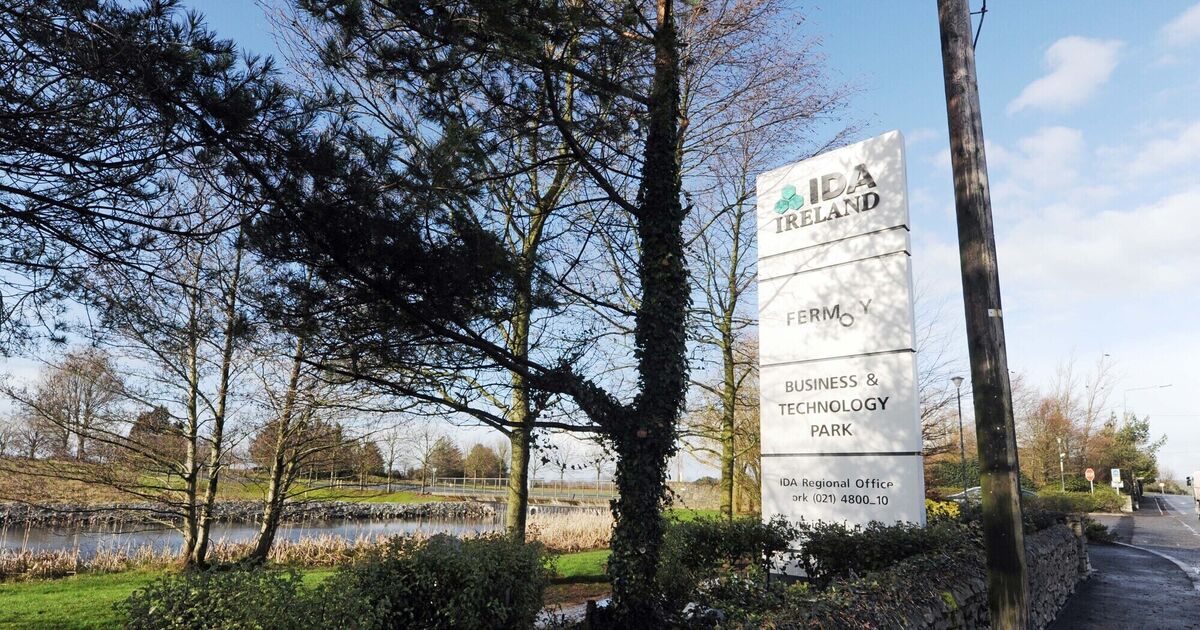 IDA targets 75,000 new FDI jobs as it navigates global challenges
