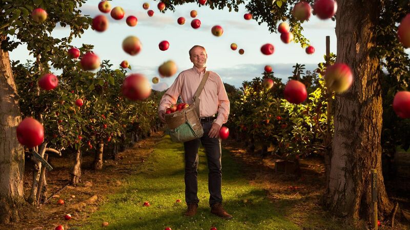 The Menu: The growing revival of Ireland's fruit-producing farms