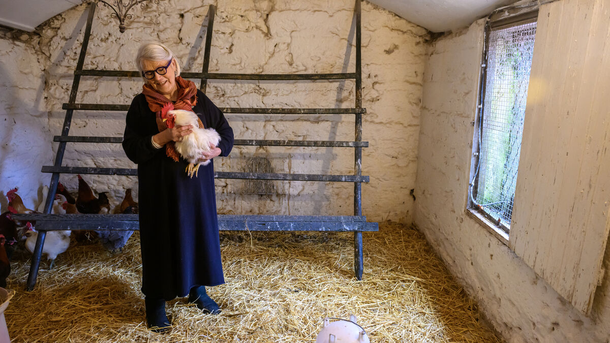 Darina Allen holdig a rooster in the Palais Des Poulets at the Ballymaloe Cookery School, Shanagarry, Co Cork. Picture Dan Linehan Darina Allen holdig a rooster in the Palais Des Poulets at the Ballymaloe Cookery School, Shanagarry, Co Cork. Picture Dan Linehan