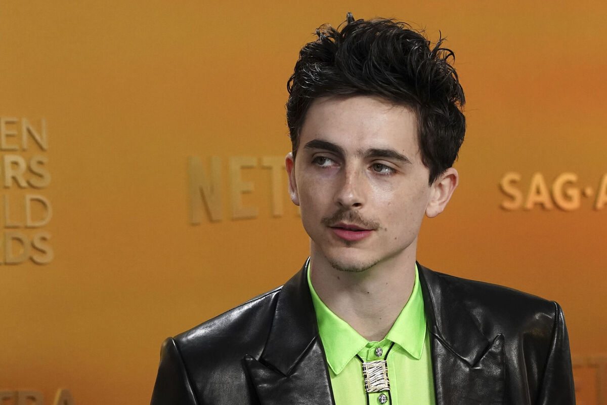 Timothee Chalamet at the 31st annual Screen Actors Guild Awards on Sunday. Photo: Jordan Strauss/Invision/AP Timothee Chalamet at the 31st annual Screen Actors Guild Awards on Sunday. Photo: Jordan Strauss/Invision/AP
