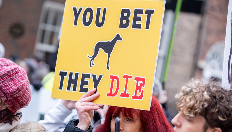 In January, protestors gathered outside Leinster House to demand the new Government ban greyhound racing. File Picture: Alan Rowlette / © RollingNews.ie