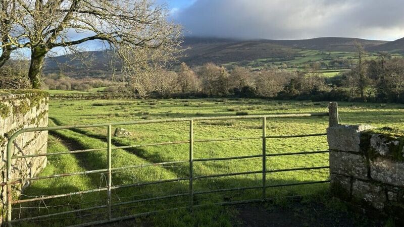 Brace of successful smallholding auctions in the South-East Brace of successful smallholding auctions in the South-East