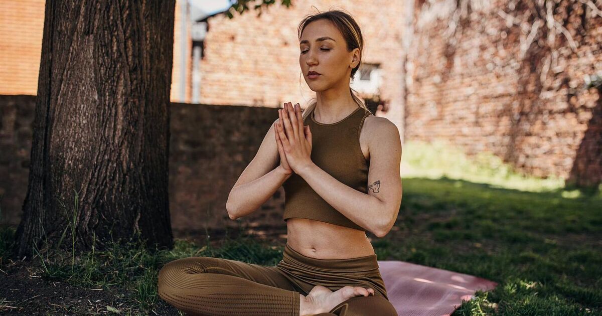 Connect with the garden to boost your wellbeing