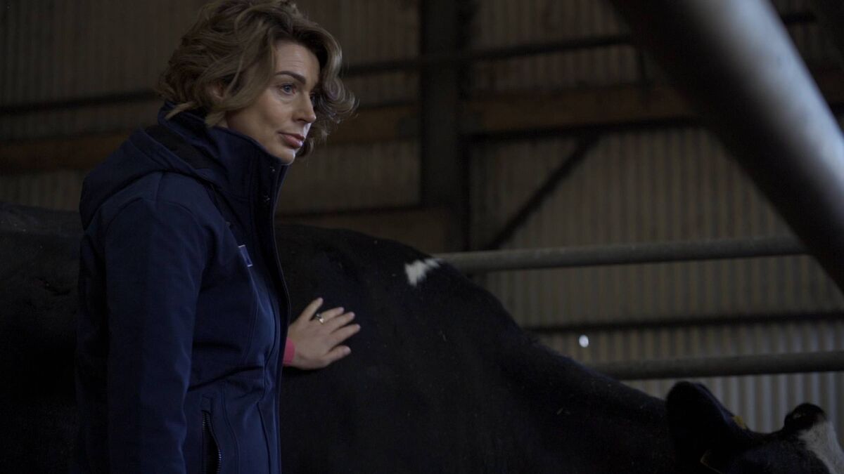 Maura Langan, Commercial and Technical Manager (Large Animal) at Norbrook.