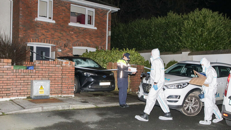 Autopsy results to determine course of Carrigaline assault investigation