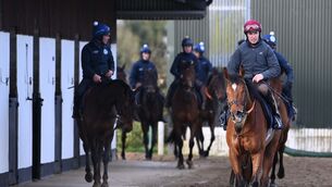 <p>Champion Jockey Jack Kennedy pictured riding Teahupoo ahead of The Cheltenham Festival as he works his way back to full fitness from a broken leg. Pic: Healy Racing</p>