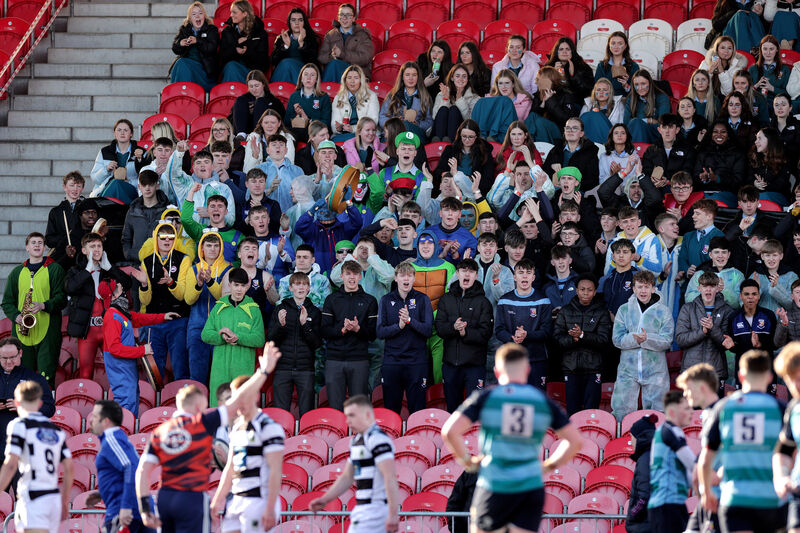 Castletroy College fans during the game. Pic: Laszlo Geczo/Inpho