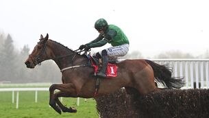 <p>El Fabiolo is running in Navan on Saturday. File Pic: Healy Racing</p>