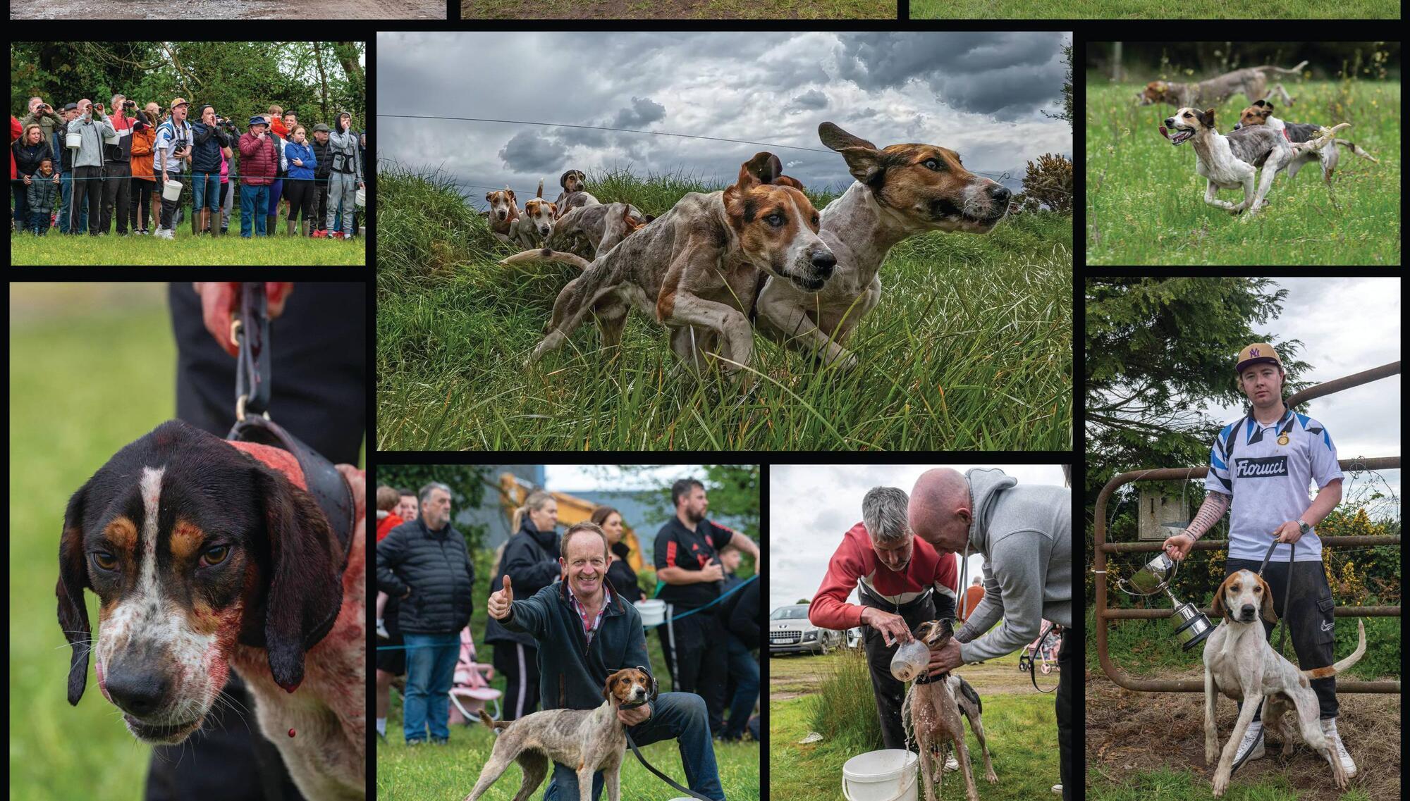 'Irish Examiner' photographers honoured at press awards ceremony in Dublin