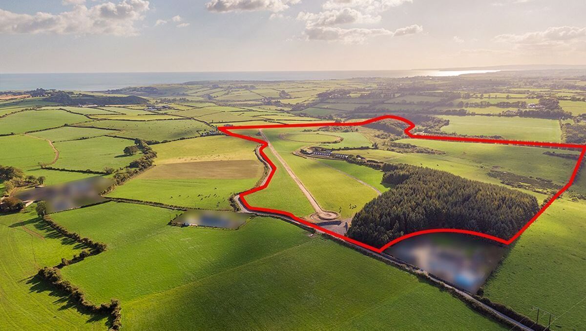 The prime geographical location of the farm makes it convenient to Cork, Waterford, and Dublin. The prime geographical location of the farm makes it convenient to Cork, Waterford, and Dublin.