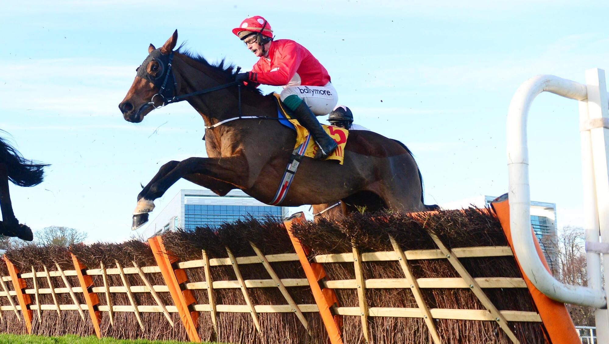 Home By The Lee gives O'Driscoll his best shot in racing's generation game