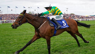 <p>WEATHER WATCH: Inothewayurthinkin's Gold Cup participation will be dependent on suitable ground conditions.  	Picture: Bradley Collyer/PA </p>