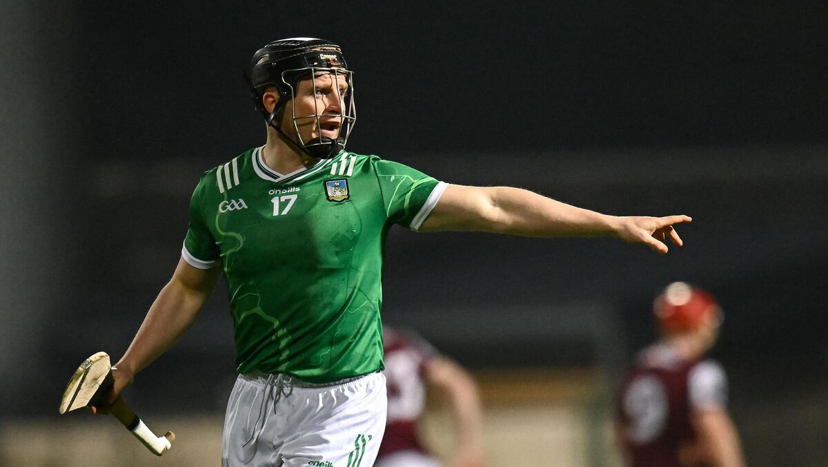 Peter Casey of Limerick during the Allianz Hurling League Division 1A match between Limerick and Galway. Pic: Piaras Ó Mídheach/Sportsfile