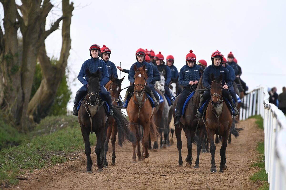 Horses on the gallops at Gavin Cromwell's yard with Stumptown and Keith Donoghue (left) and Thecompanysergeant and Sean Flanagan (right). Pic: Healy Racing