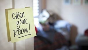<p>The last time I cleaned my teenage son's bedroom, he got angry, saying it was his space and I should leave it alone.</p>