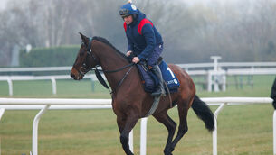 <p>EARLY HOPE: Shane McCann with Brighterdaysahead at Cheltenham on Monday. Pic: INPHO/Tom Maher</p>