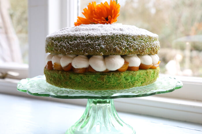 Pamela Black’s St Patrick’s Day Cake